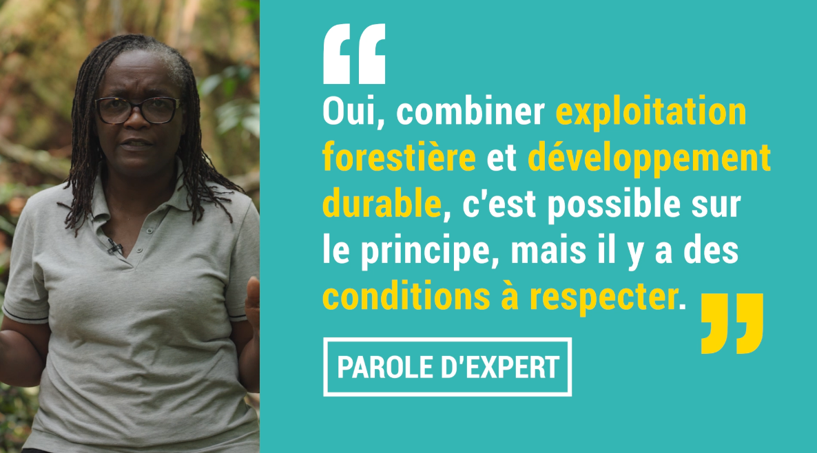 Marthe Mapangou : “combiner exploitation forestière et développement durable, c'est possible"